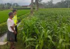 Polres Malang Dorong Ketahanan Pangan sebagai Penggerak Ekonomi Masyarakat